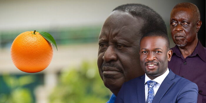 ODM Officially Elects Oburu Odinga as Party Leader at SDC